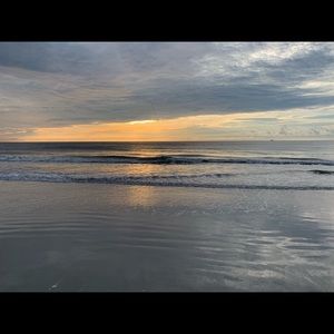 Meet your Posher, Holly